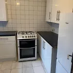Natural Full Flat Near Station With Private Toilet Shower Kitchen In Central London