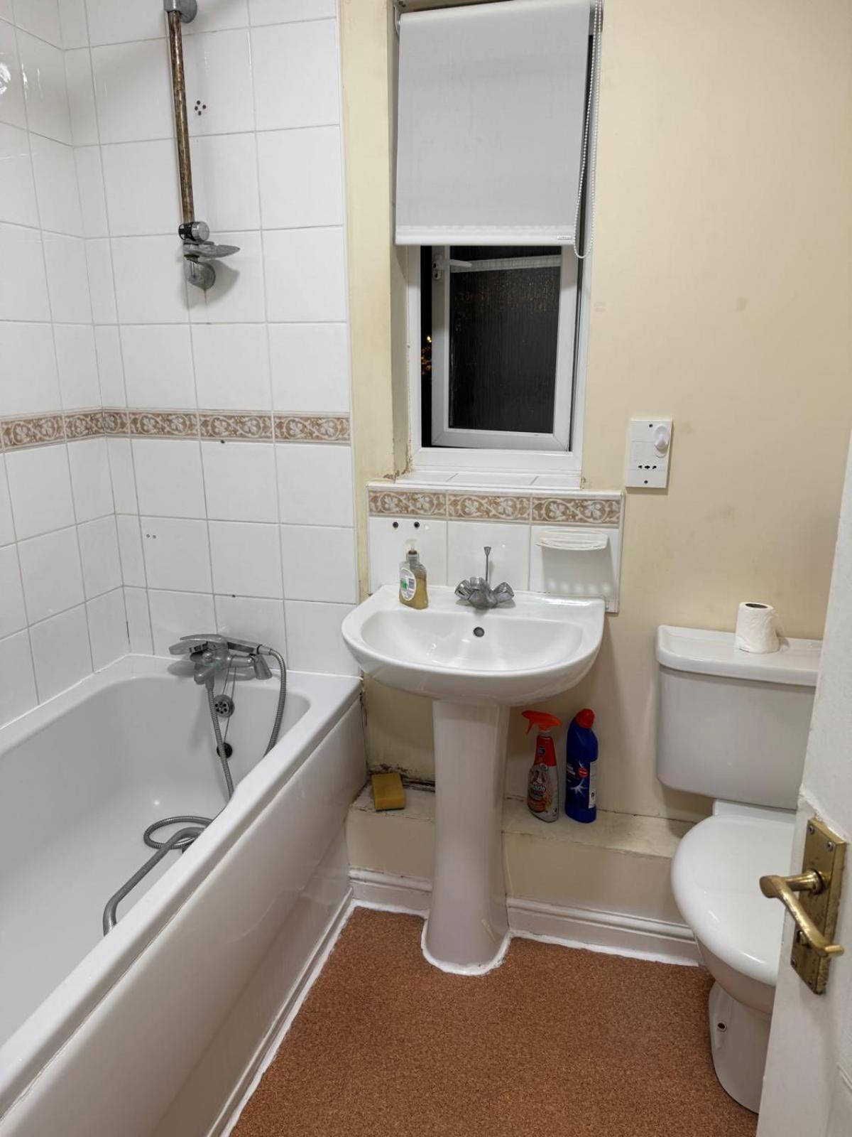 Natural Full Flat Near Station With Private Toilet Shower Kitchen In Central Appartamento Londra